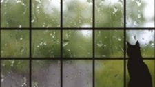 Jose Feliciano - Rain