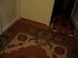 Sadun Budak Gönderdi