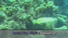 Enstrümantal - Çayır Çimen Geze Geze