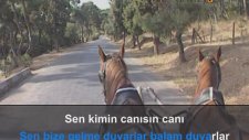Enstrümantal - Fincanı Taştan Oyarlar