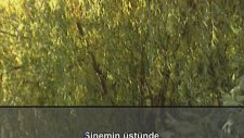 Enstrümantal - Vallahi O Yardır