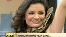 Oylum Talu'dan Yılan Dansı