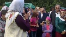 Varol Hacere Teyze