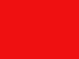Galatasaray Taraftar