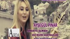 Amasya Elması - Ayşegül Pınar