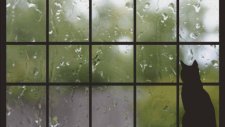 Jose Feliciano - Rain