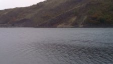 Balık Tutmak