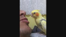 Sultan