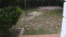 Köpek Pansiyon