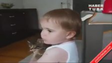 Küçük Çocuğun Kedi Sevgisi