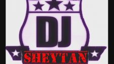 Dj Sheytan - The Best Of The Year 2013 R-Mix