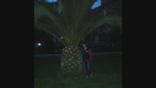 Mc Donanımlı - Ağlayarak Başlamıştım Bu Hayata 2012