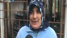 Dedeye Sahip Çıkalım