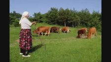 Sevda Gül - Müdür Beyin Yesil Kürkü