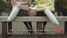 Japonya'daki Yeni Trend: Totoşa kuyruk takmak