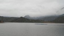 Kuruca 1