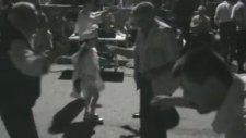 Sarı Kız