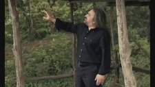 Volkan Konak - Mimoza Çiçeği