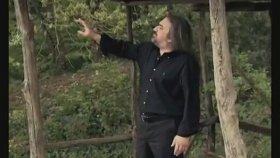 Volkan Konak - Mimoza Çiçeği Volkan Konak - Mimoza Çiçeği