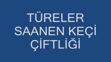 Türeler Saanen Keçi Çiftliği