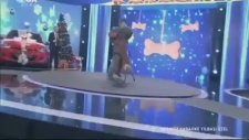 Köpek Saldırısı İle Şarkı Söylemek! (İmkansız Karaoke)
