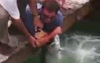 Balık Avında Elini Verdi Kolunu Kaptırdı