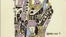 Damien Rice - Coconut Skins