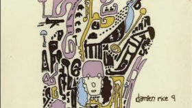 Damien Rice - Coconut Skins Damien Rice - Coconut Skins