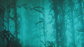 Nouvelle Vague - A Forest Nouvelle Vague - A Forest