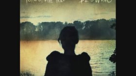 Porcupine Tree - Deadwing Porcupine Tree - Deadwing
