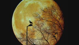 God Is an Astronaut - Twilight God Is an Astronaut - Twilight