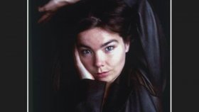 Björk - Verandi Björk - Verandi