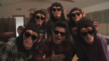 Bruno Mars - The Lazy Song