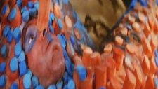 The Cure - Close To Me