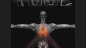 Tool - You Lied Salival Tool - You Lied Salival