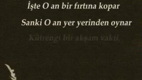 Erol Evgin - İçimdeki Fırtına Erol Evgin - İçimdeki Fırtına