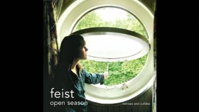 Feist - The Simple Story Feist - The Simple Story