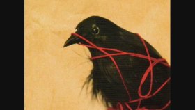 Death Cab for Cutie - A Lack Of Color Death Cab for Cutie - A Lack Of Color