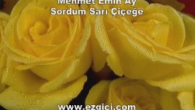 Mehmet Emin Ay - Sordum Sarı Çiçeğe Mehmet Emin Ay - Sordum Sarı Çiçeğe