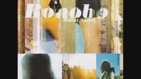 Bonobo - Shadowtricks Bonobo - Shadowtricks