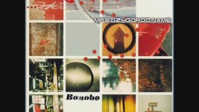 Bonobo - Wayward Bob Bonobo - Wayward Bob
