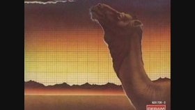Camel - Echoes Camel - Echoes