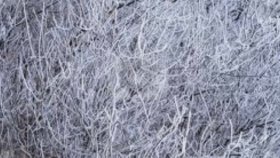 Oh Land - Frostbite Oh Land - Frostbite