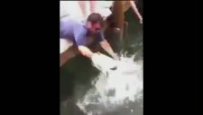 Adamın Kolunu Yutan Balık