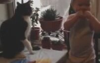 Afacan Çocuğun Sevimli Kedi İle Kavgası!