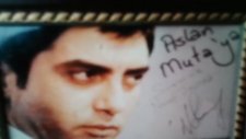 Polat Alemdar