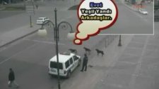 Başkentin Akıllı Köpekleri Polisi Şaşırttı