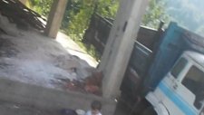 Sibirya Kurdu Ve Çocuk