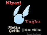 Metin Çelik-Yaban Gülüm