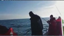 Morina Balığı Avı Noordzee
